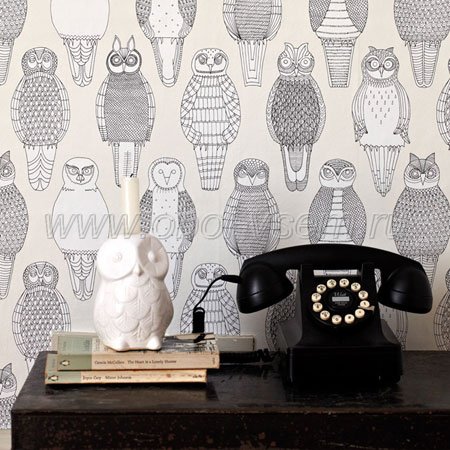   Owls of the British Isles Abigail Edwards Wallpapers (Abigail Edwards)