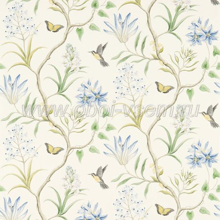   DVOY213389 Voyage of Discovery Wallpapers (Sanderson)