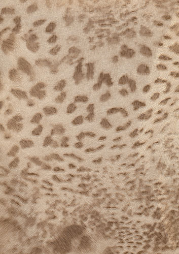   5070-2 Skin (Atlas Wallcoverings)
