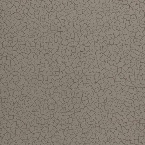   312834 Oblique Wallpapers (Zoffany)