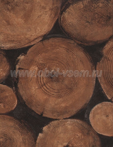   Lumberjack Timber Engineer (Andrew Martin)