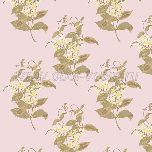   81/6025 A Collection of Flowers (Cole & Son)