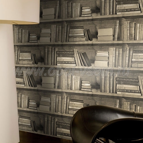   Sepia Bookshelf Mineheart Wallpapers (Mineheart)
