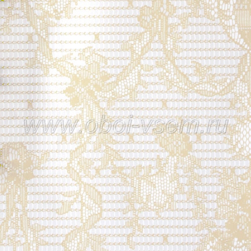   WA67-05 Paper Lace (Morton Young & Borland)