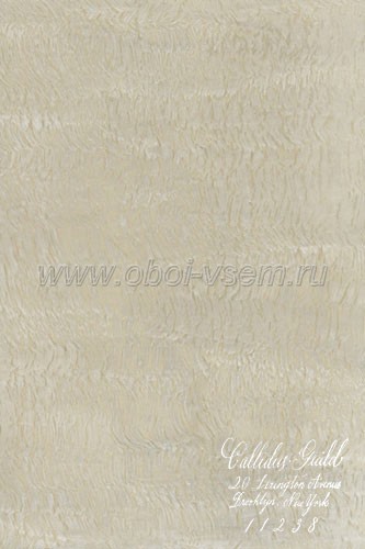 Обои  WP-1047 Sinuous Collection (Callidus Guild)