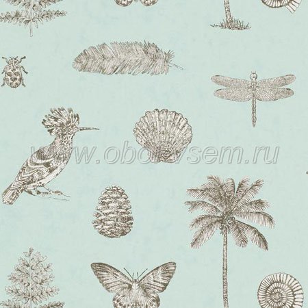   DVOY213383 Voyage of Discovery Wallpapers (Sanderson)
