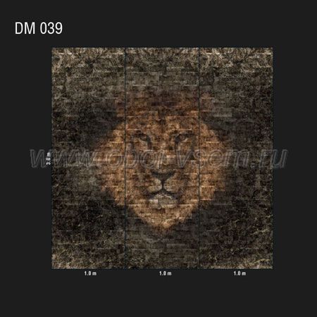   DM 039 Illusion (Loymina)