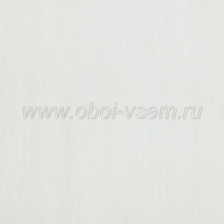   48498 Essentials (BN International)