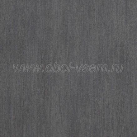   48503 Essentials (BN International)