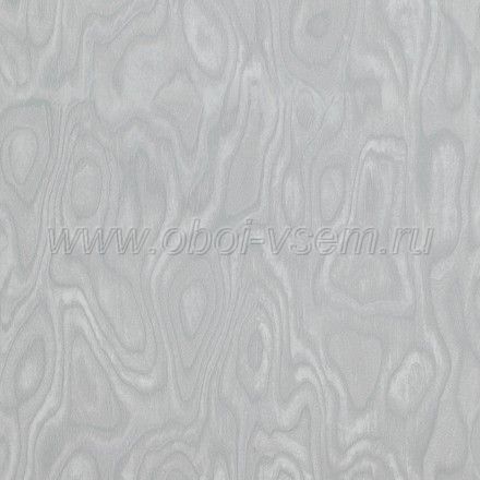   218040 Essentials (BN International)