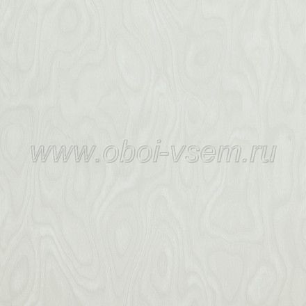   218043 Essentials (BN International)