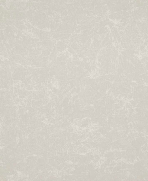   218941 Rise & Shine (BN International)