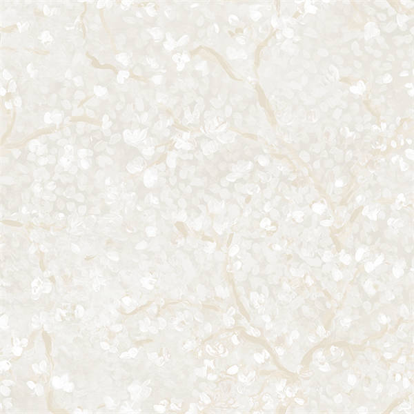 ����  F-GR6001 Gorgeous  (Faboie)