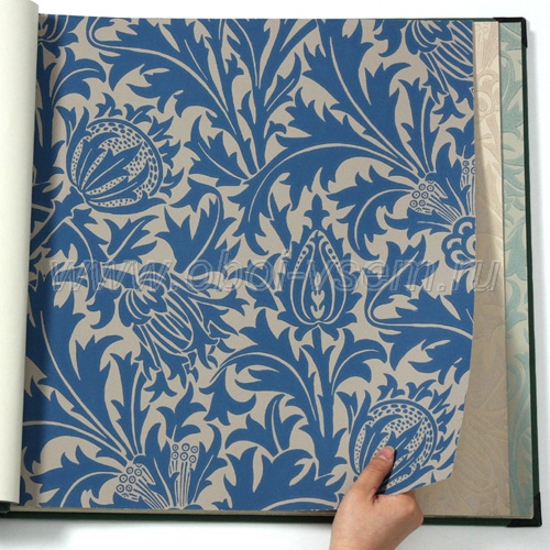   DMOWTH102 The Art of Decoration V (Morris & Co)