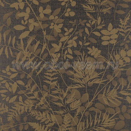  LWP65024W Serengeti Textures (Ralph Lauren)